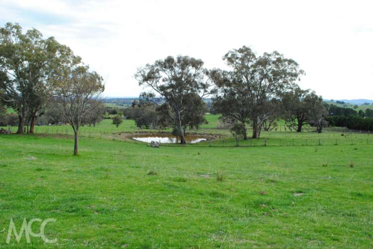 Third view of Homely livestock listing, 'Galens Tor' 38 Offner Road, Orange NSW 2800