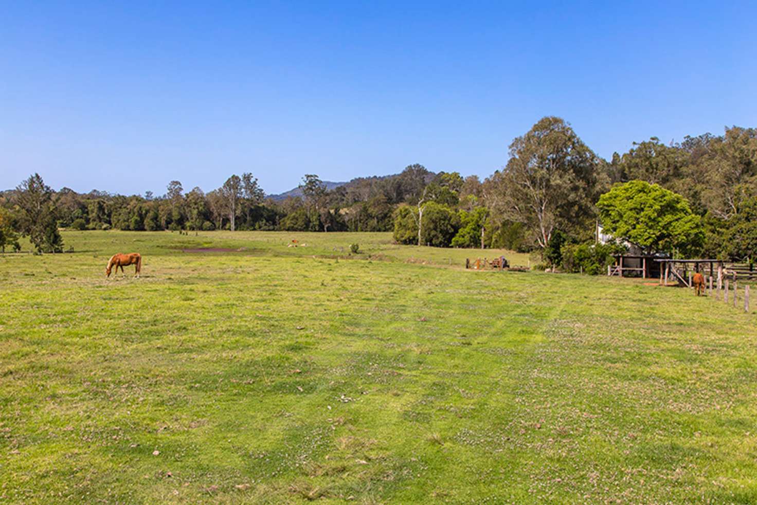 Main view of Homely house listing, 227 Cedar Creek Road, Belli Park QLD 4562