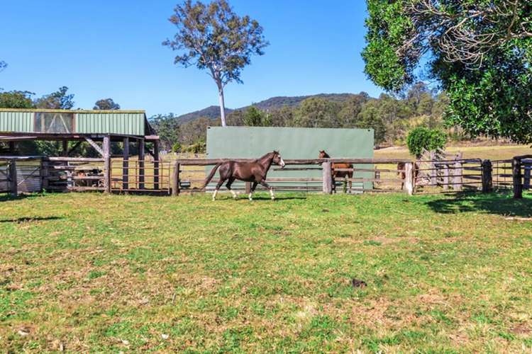 Second view of Homely house listing, 227 Cedar Creek Road, Belli Park QLD 4562