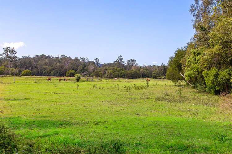Fifth view of Homely house listing, 227 Cedar Creek Road, Belli Park QLD 4562