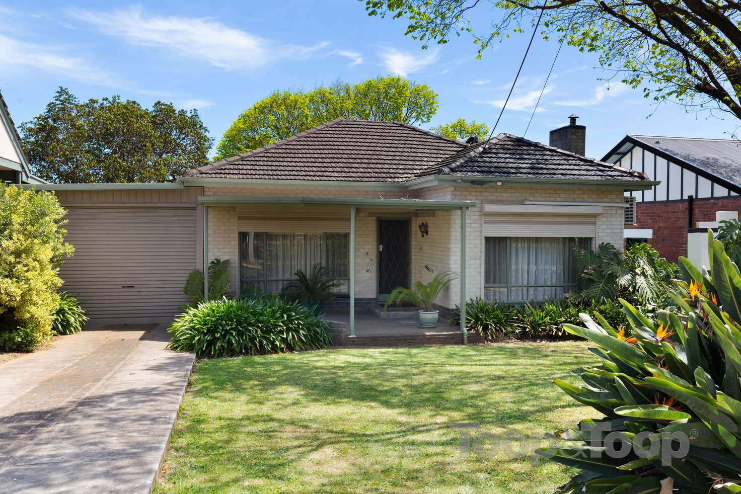 Main view of Homely house listing, 31 Cedar Avenue, Glenunga SA 5064