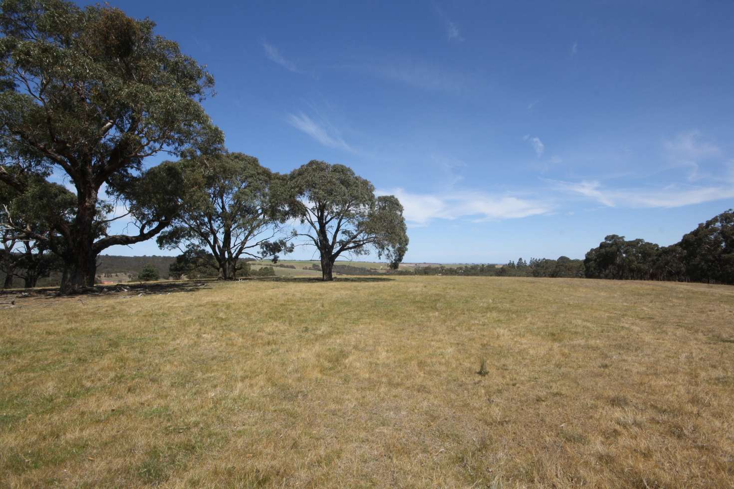 Main view of Homely residentialLand listing, LOT 10 Berringa Road, Berringa VIC 3351