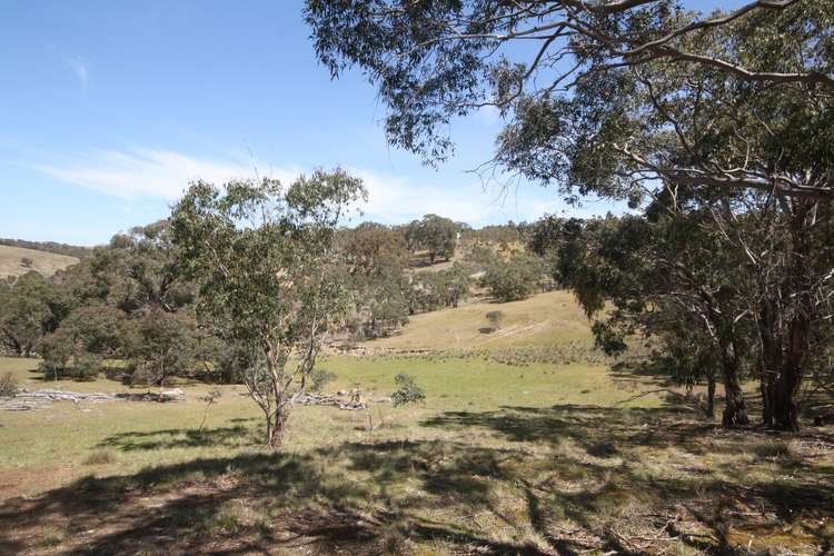 Second view of Homely residentialLand listing, LOT 10 Berringa Road, Berringa VIC 3351