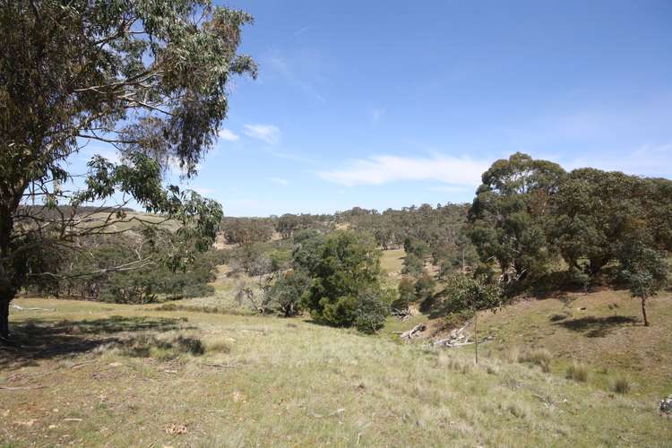 Fourth view of Homely residentialLand listing, LOT 10 Berringa Road, Berringa VIC 3351