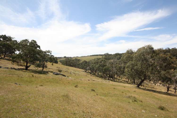 Fifth view of Homely residentialLand listing, LOT 10 Berringa Road, Berringa VIC 3351