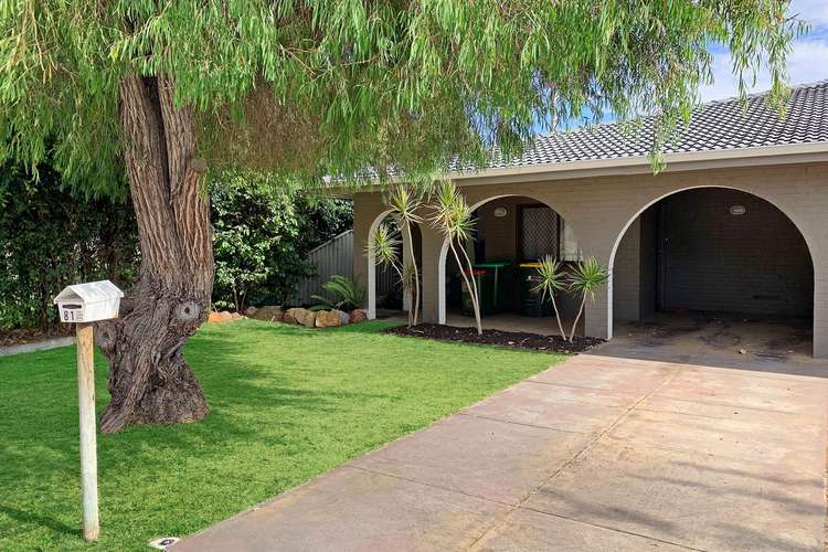 Main view of Homely semiDetached listing, 81 Virgil Avenue, Yokine WA 6060