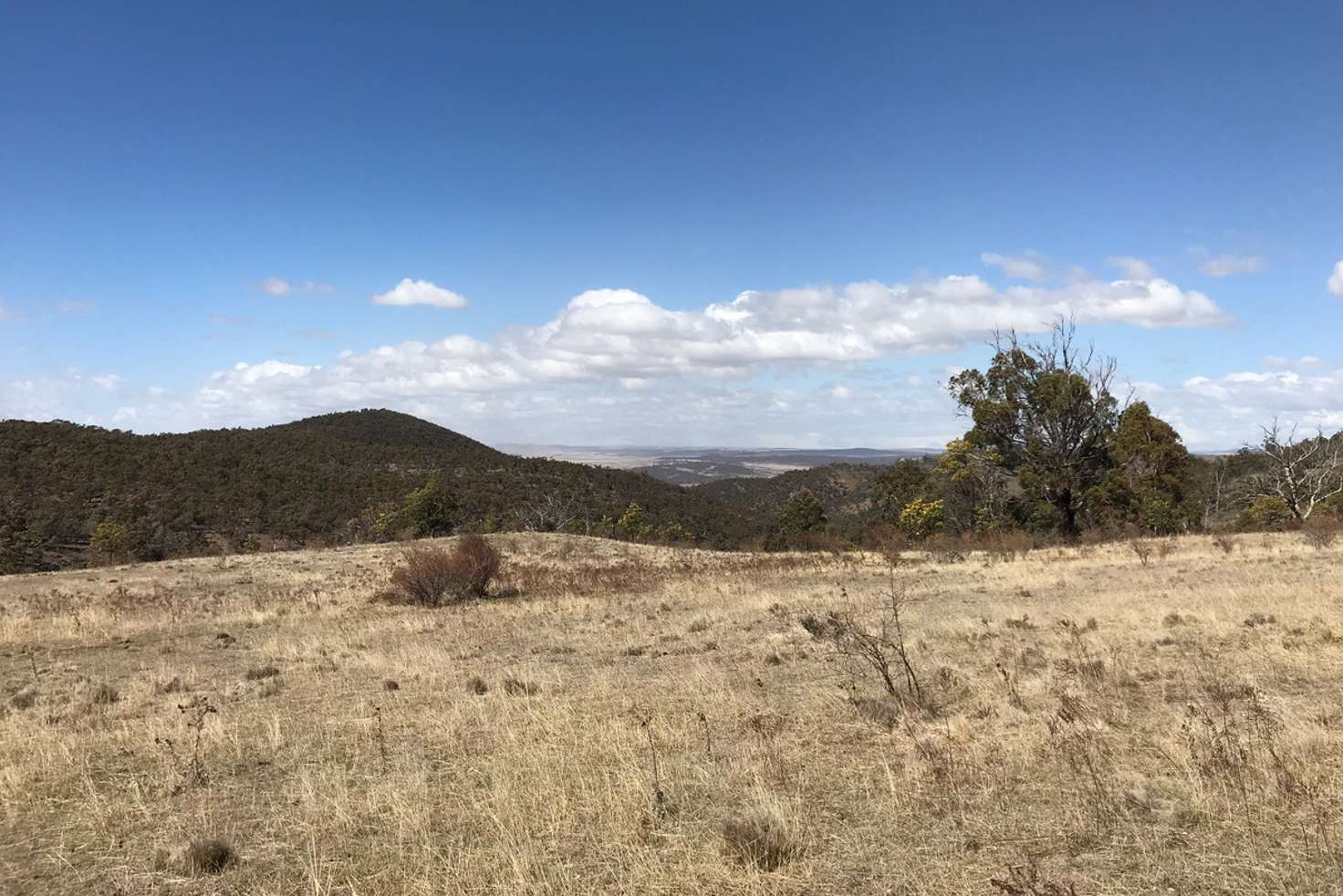 Main view of Homely residentialLand listing, LOT 2 Dry Plains Road, Wambrook NSW 2630