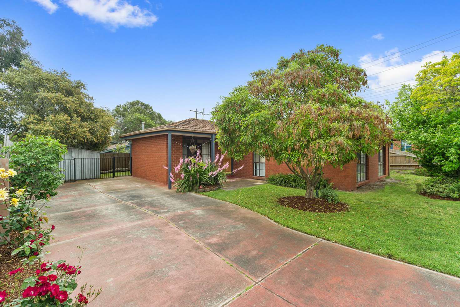 Main view of Homely house listing, 9 Loretta Street, Carrum Downs VIC 3201