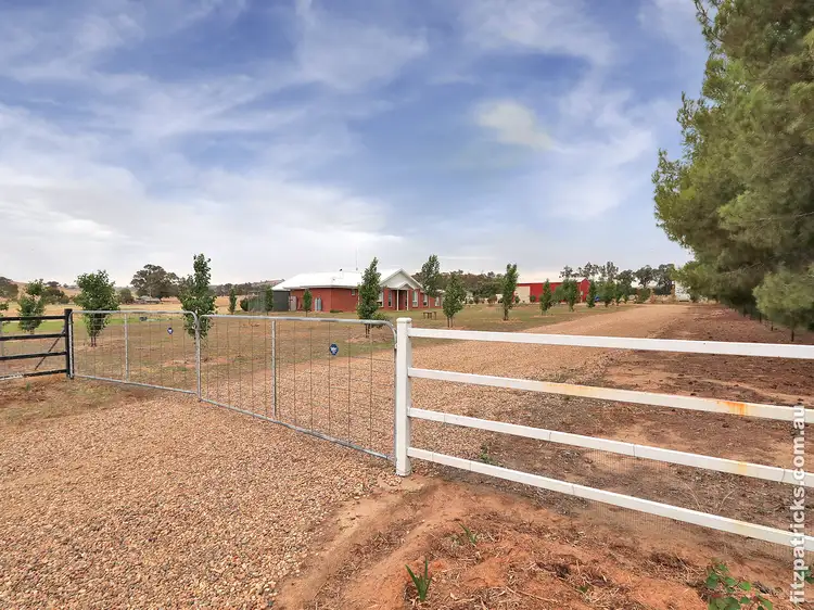 3523 Oura Road, Wantabadgery NSW 2650