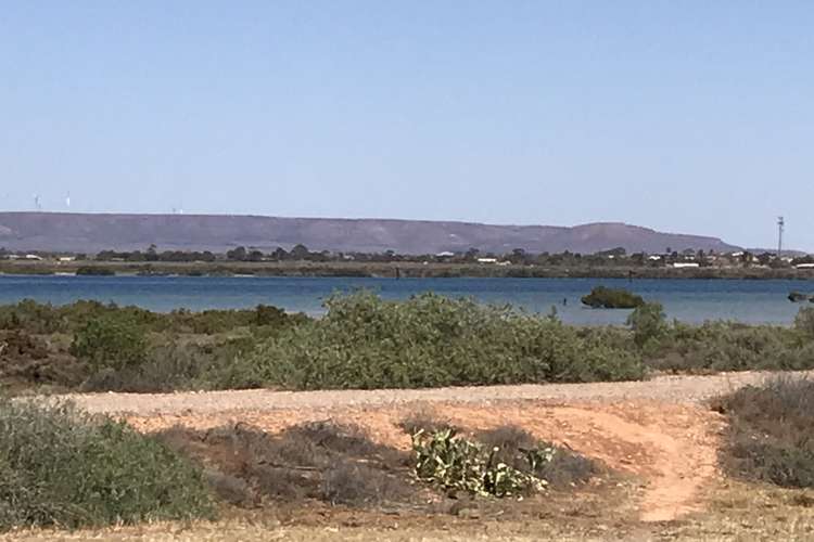 Main view of Homely house listing, 20 William Street, Port Augusta SA 5700