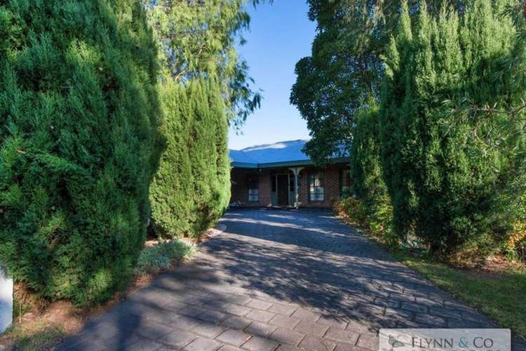 Main view of Homely house listing, 12 Salvia Court, Rosebud VIC 3939