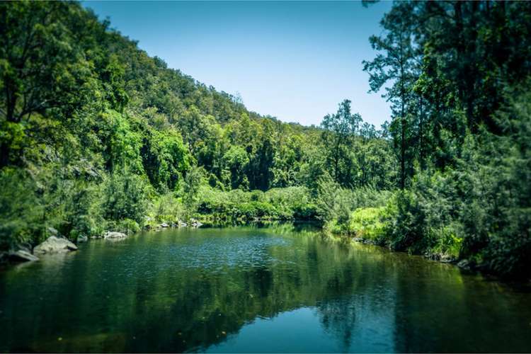 Second view of Homely lifestyle listing, 2287 Darkwood Road, Bellingen NSW 2454