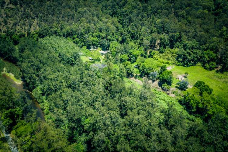 Sixth view of Homely lifestyle listing, 2287 Darkwood Road, Bellingen NSW 2454