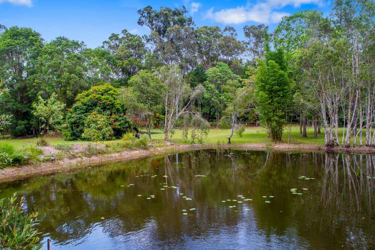 Fourth view of Homely house listing, 55 Hatch Road, Cootharaba QLD 4565