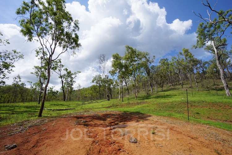 Seventh view of Homely lifestyle listing, 299 Hodzic Road, Biboohra QLD 4880