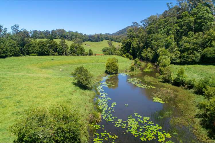 Second view of Homely livestock listing, 1192 Bowraville Road, Bellingen NSW 2454