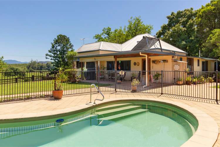 Fifth view of Homely livestock listing, 1192 Bowraville Road, Bellingen NSW 2454