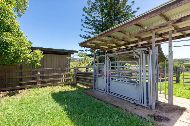 Seventh view of Homely livestock listing, 1192 Bowraville Road, Bellingen NSW 2454