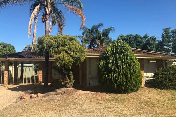 Main view of Homely house listing, 16 Kidman Court, Thornlie WA 6108