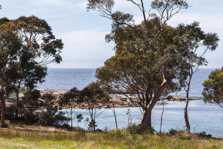 Sixth view of Homely residentialLand listing, LOT 81 Sunrise Drive, Bicheno TAS 7215