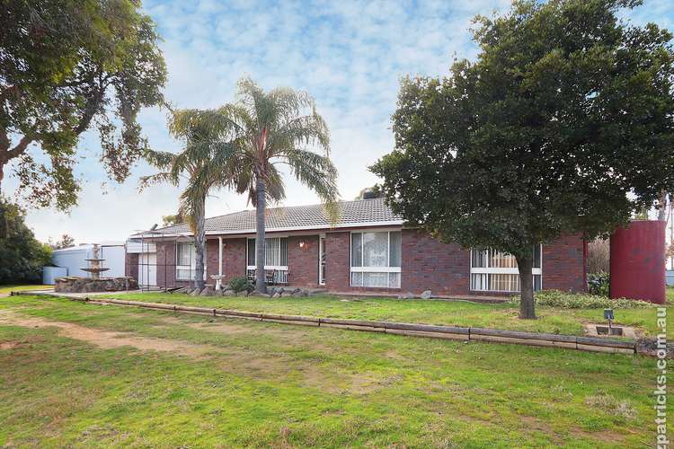Main view of Homely house listing, 13 Grinton Avenue, Ashmont NSW 2650