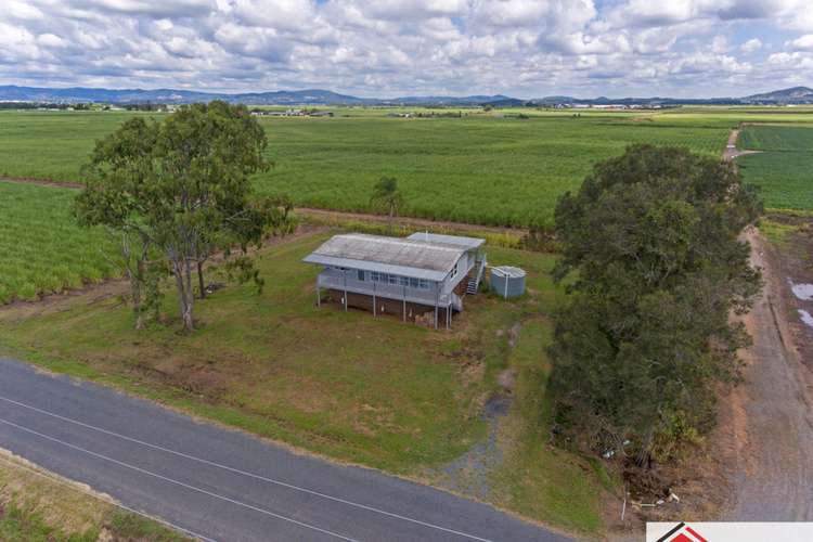 Fourth view of Homely house listing, 73 Cooks Road, Woongoolba QLD 4207