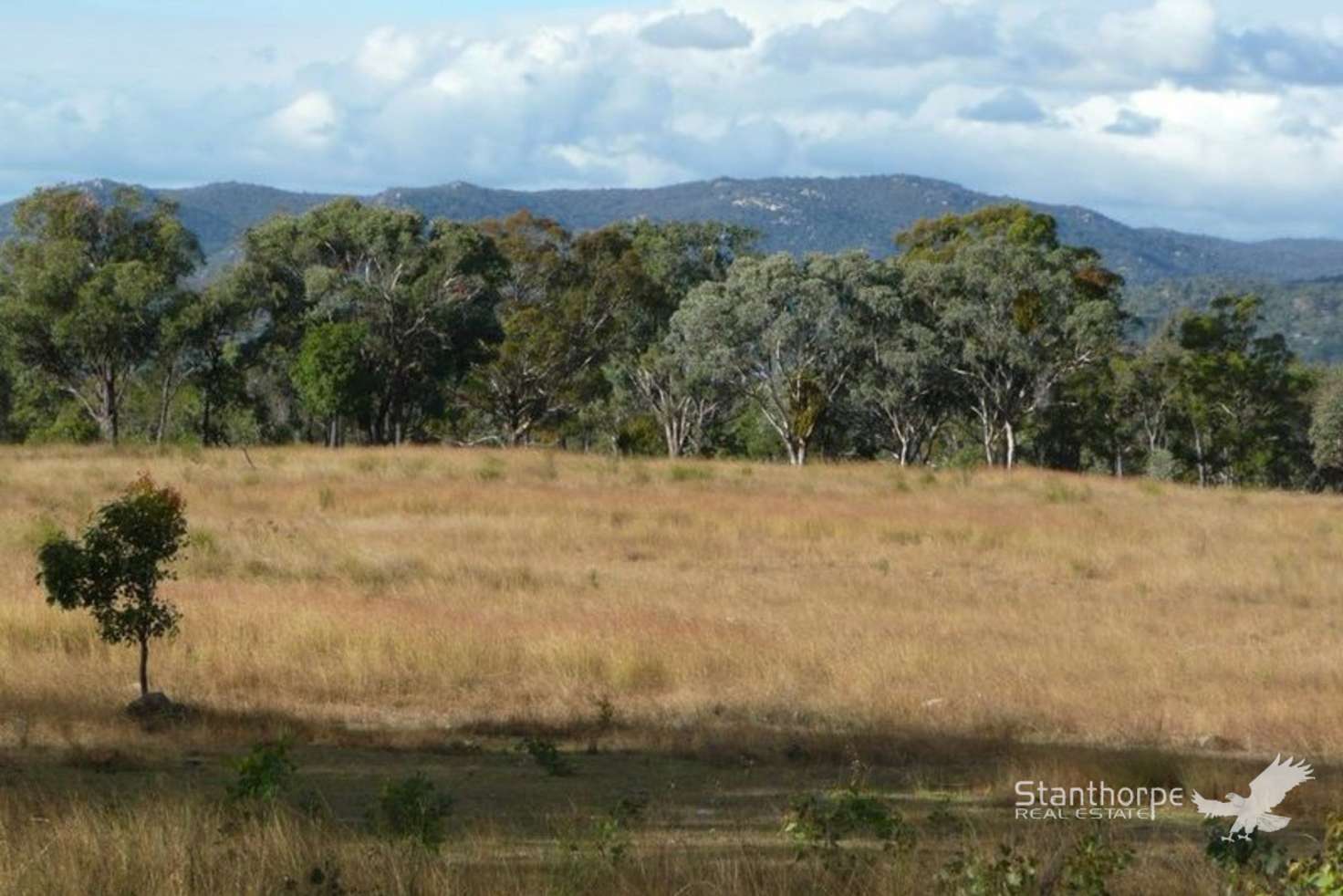 Main view of Homely residentialLand listing, LOT 10 Saxby Road, Ballandean QLD 4382