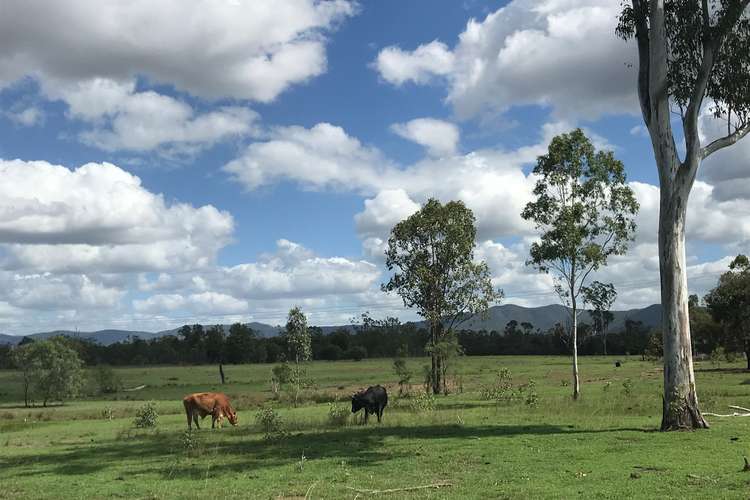 Second view of Homely livestock listing, 285 Six Mile Road, Bajool QLD 4699