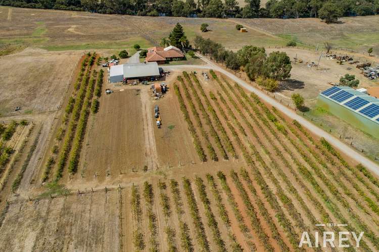 Main view of Homely acreageSemiRural listing, 5528 West Swan Road, West Swan WA 6055
