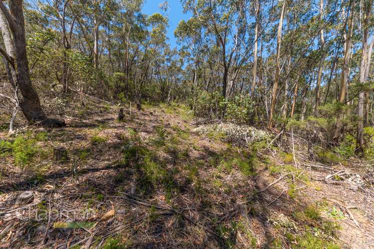 Main view of Homely residentialLand listing, 64 Explorers Road, Katoomba NSW 2780