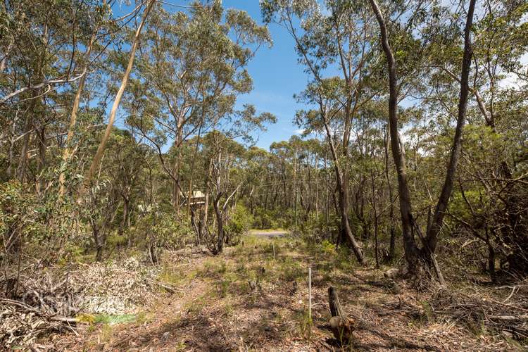 Second view of Homely residentialLand listing, 64 Explorers Road, Katoomba NSW 2780