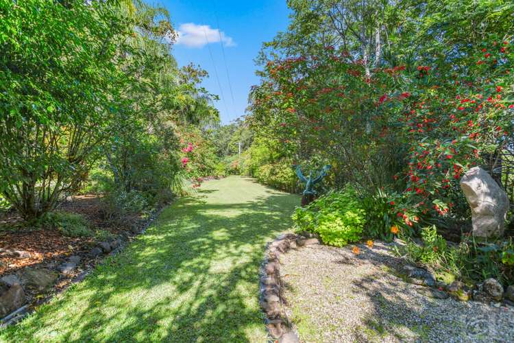Fourth view of Homely acreageSemiRural listing, 109 Mount Burrell Road, Mount Burrell NSW 2484