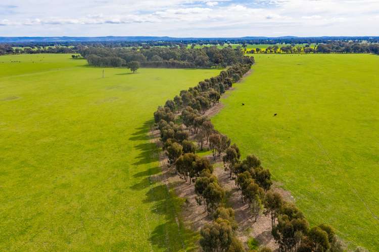 Main view of Homely mixedFarming listing, Federation Way, Boorhaman VIC 3678