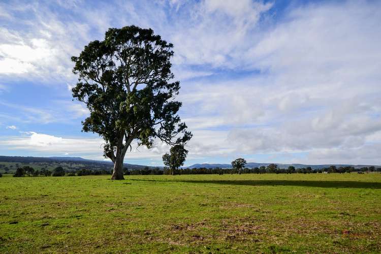 Main view of Homely livestock listing, LOT 1 & 2 Long Lane, Barwite VIC 3722