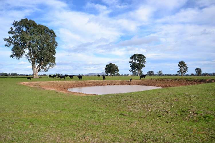Third view of Homely livestock listing, LOT 1 & 2 Long Lane, Barwite VIC 3722