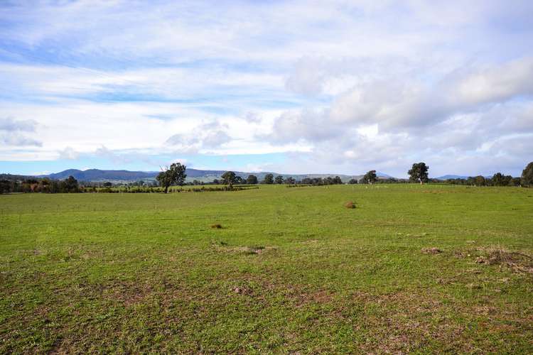 Seventh view of Homely livestock listing, LOT 1 & 2 Long Lane, Barwite VIC 3722