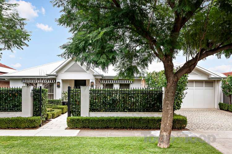 35 Williams Avenue, St Morris SA 5068