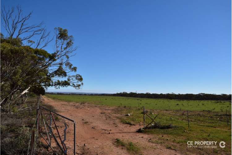 Main view of Homely acreageSemiRural listing, Address available on request