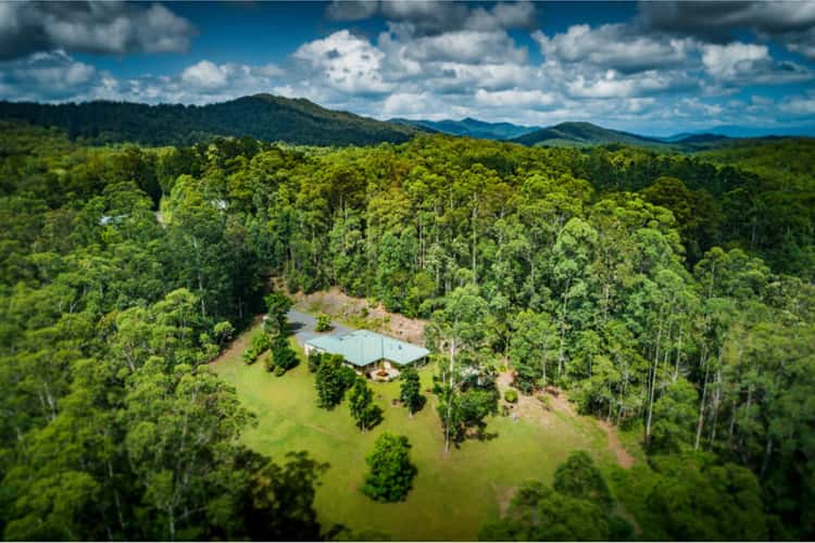 Third view of Homely lifestyle listing, 138 Mahers Road, Bellingen NSW 2454