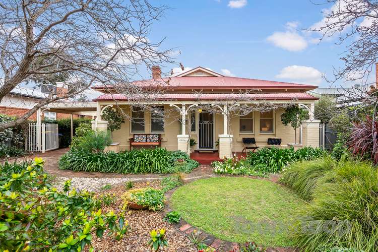 3 Dorset Avenue, Colonel Light Gardens SA 5041