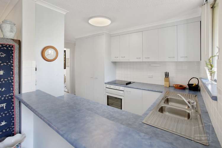 Third view of Homely unit listing, 3/35 Lower Gay Terrace, Caloundra QLD 4551