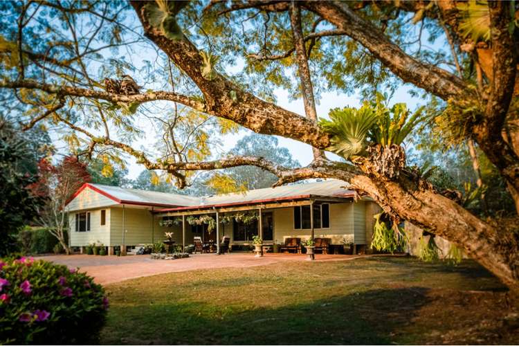 Third view of Homely lifestyle listing, 961 Promised Land Road, Bellingen NSW 2454
