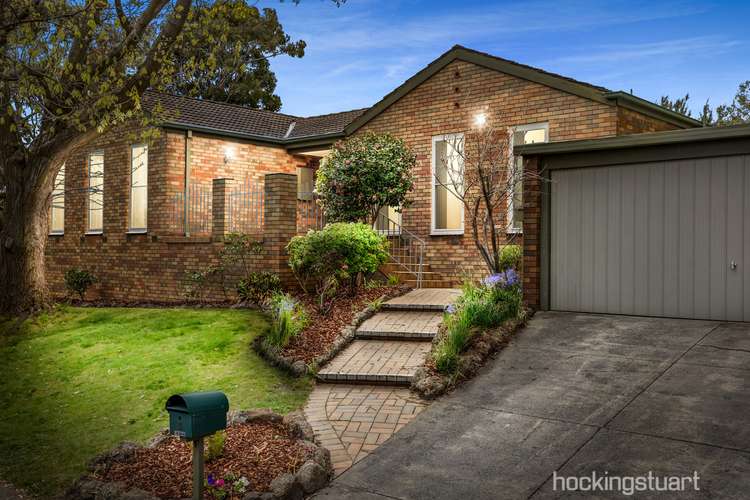 Main view of Homely house listing, 5 Gracefield Drive, Box Hill North VIC 3129