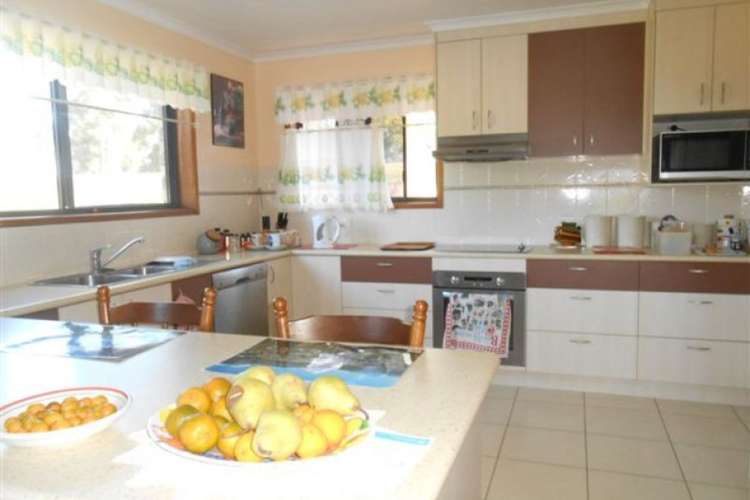 Seventh view of Homely house listing, 97 Ariadne Street, River Heads QLD 4655