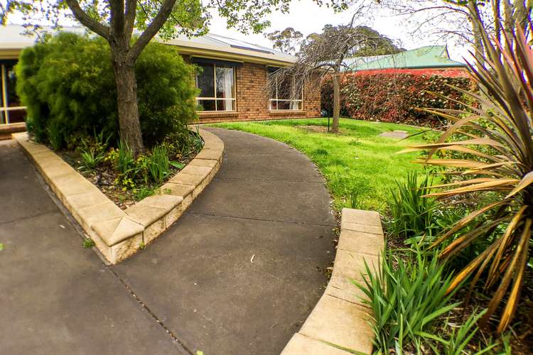 Main view of Homely house listing, 10 Young Court, Mount Barker SA 5251