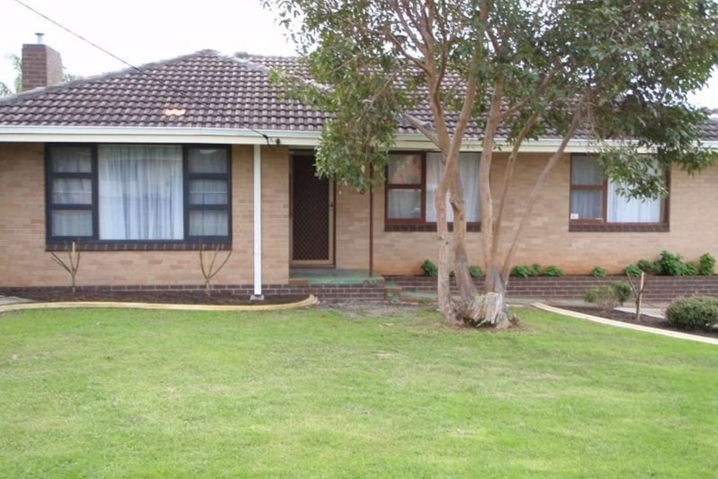 Main view of Homely house listing, 6 Greenacre Street, Dianella WA 6059