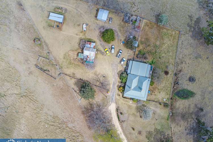 Fifth view of Homely acreageSemiRural listing, 1335 Candelo Bega Road, Candelo NSW 2550