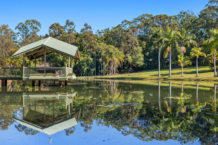 Fifth view of Homely house listing, 10 Dell Court, Nerang QLD 4211