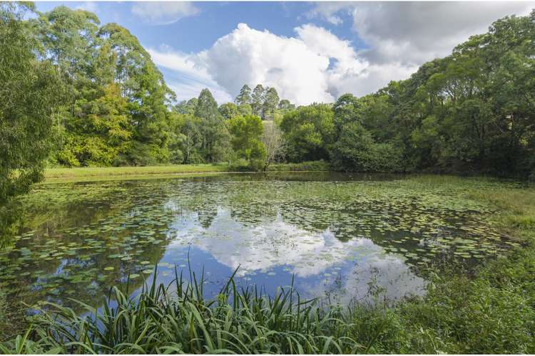 Fourth view of Homely house listing, 46 Gardners Lane, North Maleny QLD 4552