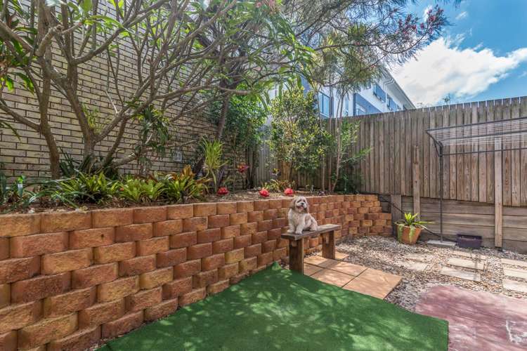 Fifth view of Homely townhouse listing, 2/21 Jones Road, Carina Heights QLD 4152